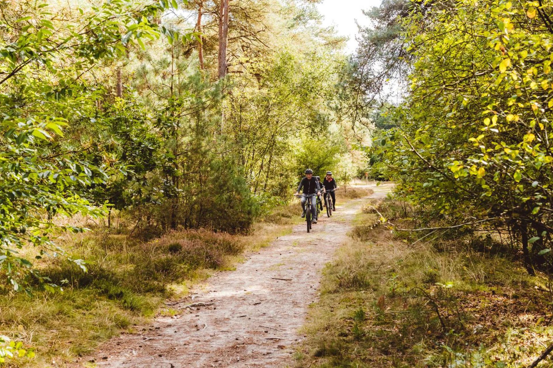 Landgoed Het Grote Zand Hooghalen Esterno foto